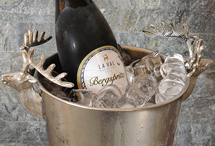 Ice bucket photography challange Ice bucket photography challange