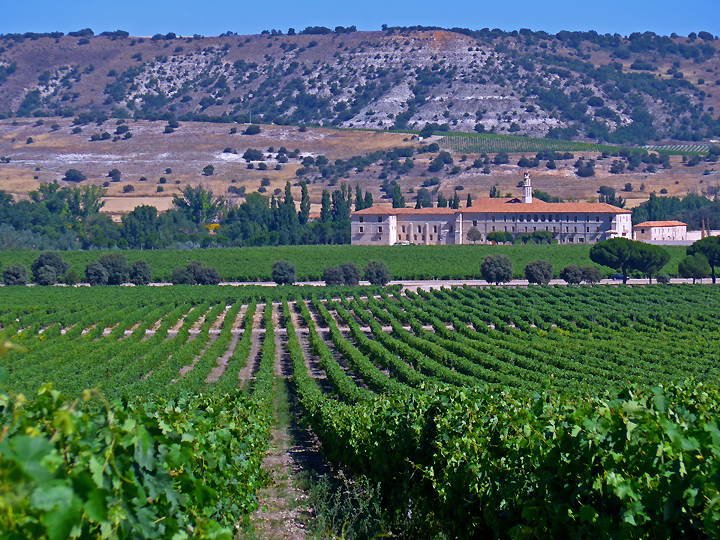 Standing proud and tall amongst endless symmetrical lines of vines, stood the monastery, my home for the next three nights. Standing proud and tall amongst endless symmetrical lines of vines, stood the monastery, my home for the next three nights.