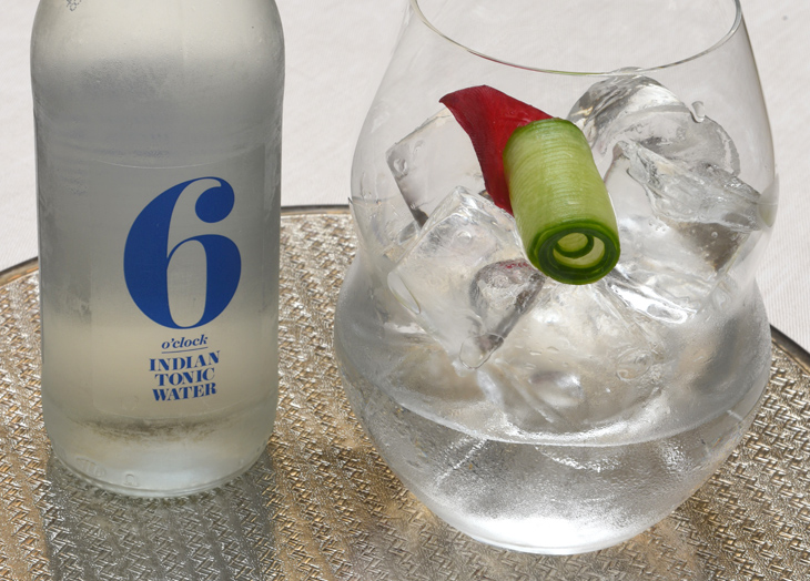 Ice-cold Hendricks Gin and 5 o‘clock Tonic © Michelle Chaplow
