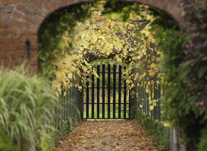 Photographing the Autumnal Archways 